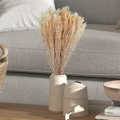 New Preserved Natural Bleached Staavia Bush Stems & Bouquets