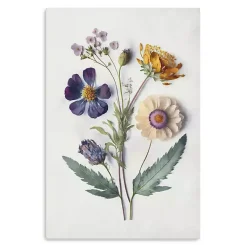 Kirklands Home Canvas Art|Pressed Flower Memories I Canvas Art Print