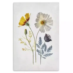 Kirklands Home Canvas Art|Pressed Flower Memories II Canvas Art Print