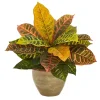 Best Real Touch Potted Garden Croton Plant Trees & Topiaries