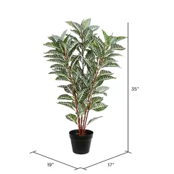 Best Real Touch Zebra Plant in Nursery Planter Trees & Topiaries