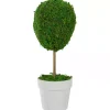 Hot Reindeer Moss Ball Topiary in White Pot Trees & Topiaries