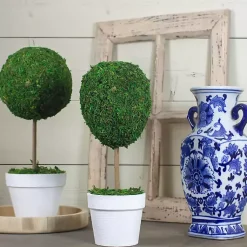 Hot Reindeer Moss Ball Topiary in White Pot Trees & Topiaries