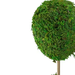 Hot Reindeer Moss Ball Topiary in White Pot Trees & Topiaries