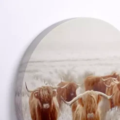 Kirklands Home Canvas Art|Round Frosty Highland Cows Canvas Art Print