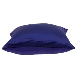 Royal Velvet Pillow Pillows