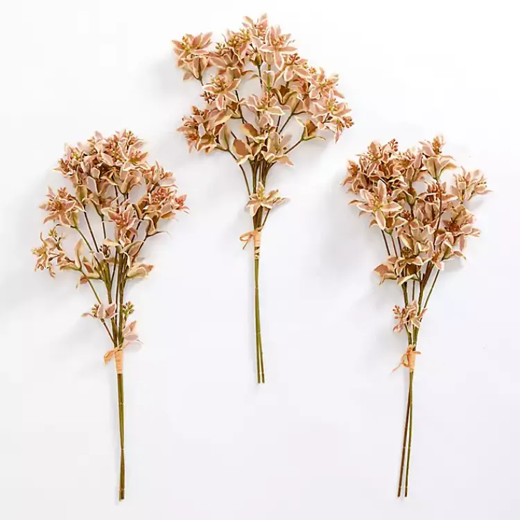 Online Rust Cymbidium Stems, Set of 3 Stems & Bouquets