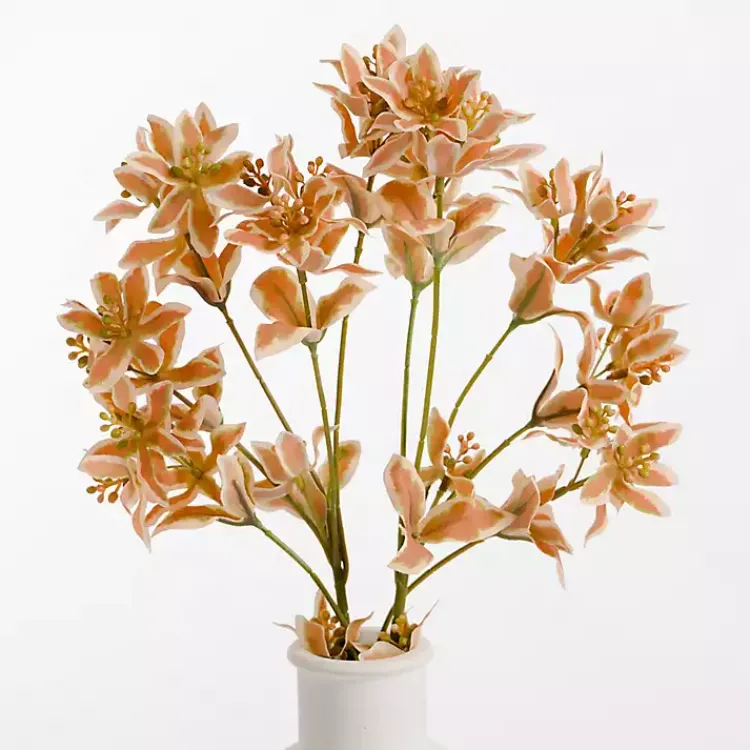 Online Rust Cymbidium Stems, Set of 3 Stems & Bouquets