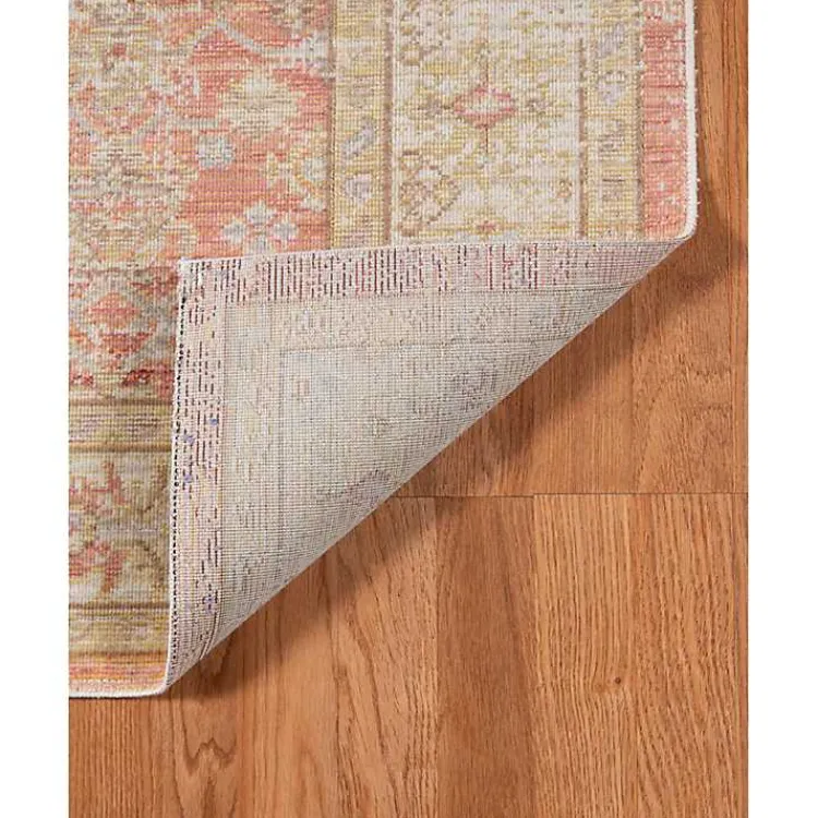 Kirklands Home Area Rugs|Salmon Vintage Border Area Rug