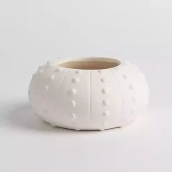 Online Salt and Driftwood Sea Urchin Jar Candle Candles