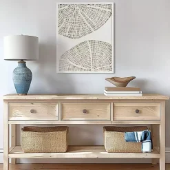 Kirklands Home Wall Plaques|Sand Dollar Rice Paper Shadowbox Wall Plaque White