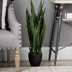 Hot Sansevieria Floor Plant in Black Planter Trees & Topiaries