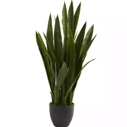 Hot Sansevieria Floor Plant in Black Planter Trees & Topiaries