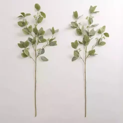 Outlet Seeded Eucalyptus Sprays, Set of 2 Stems & Bouquets