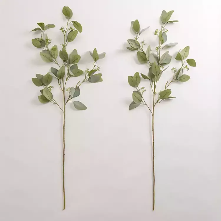 Outlet Seeded Eucalyptus Sprays, Set of 2 Stems & Bouquets