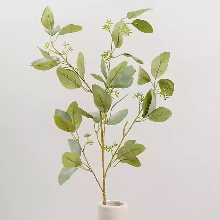Outlet Seeded Eucalyptus Sprays, Set of 2 Stems & Bouquets