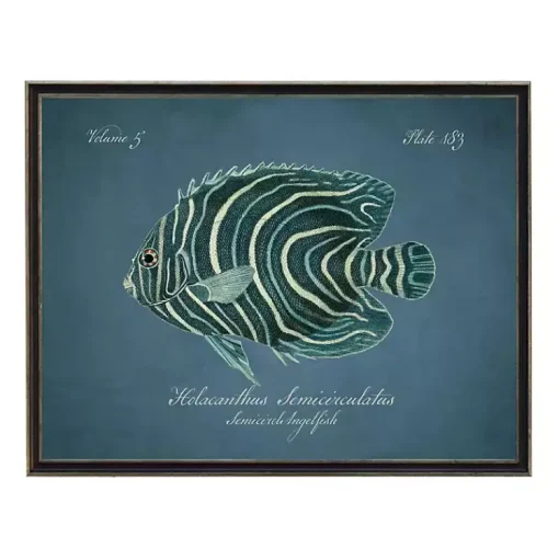 Kirklands Home Framed Art|Semicircle Angelfish Framed Wall Art Blue