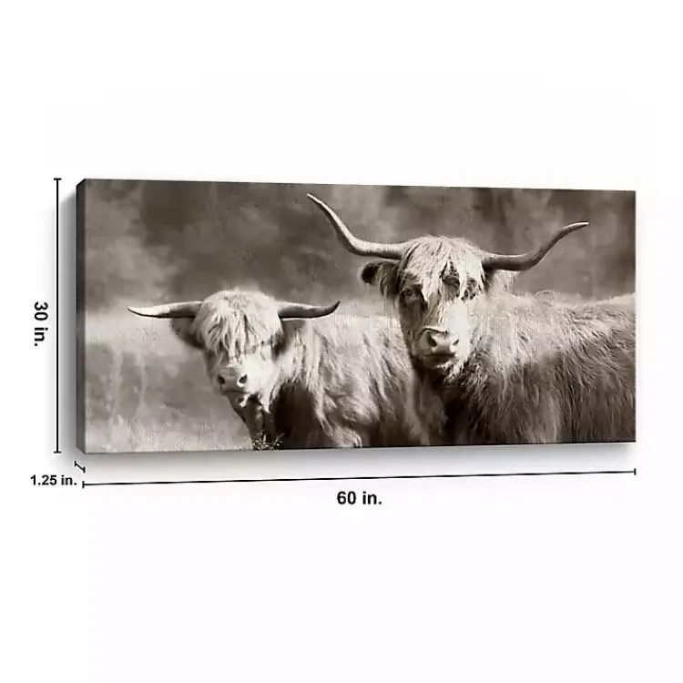 Kirklands Home Canvas Art|Sepia Hairy Highland Canvas Art Print