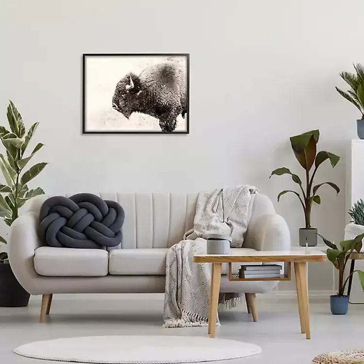 Kirklands Home Canvas Art|Shaggy Buffalo Black Framed Canvas Art Print Brown