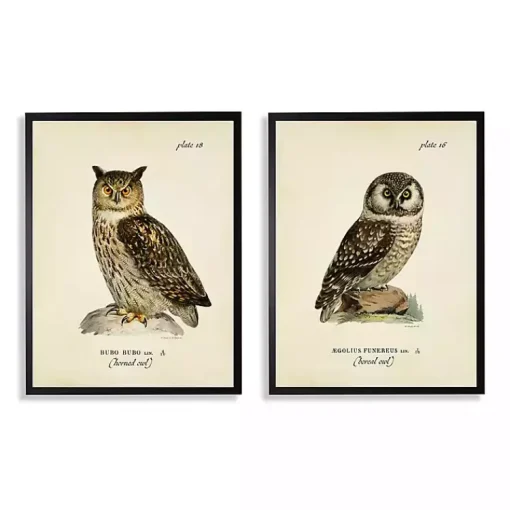 Kirklands Home Framed Art|Sitting Owls Black Framed Art Prints, Set of 2 Brown