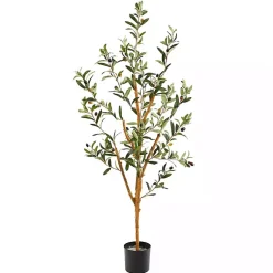 Outlet Slender Olive Branch Tree in Nursery Planter Trees & Topiaries