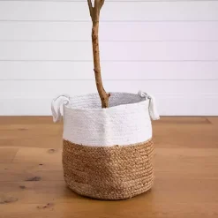 Hot Slim Olive Tree in Woven Planter, 7 ft. Trees & Topiaries