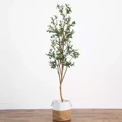 Hot Slim Olive Tree in Woven Planter, 7 ft. Trees & Topiaries