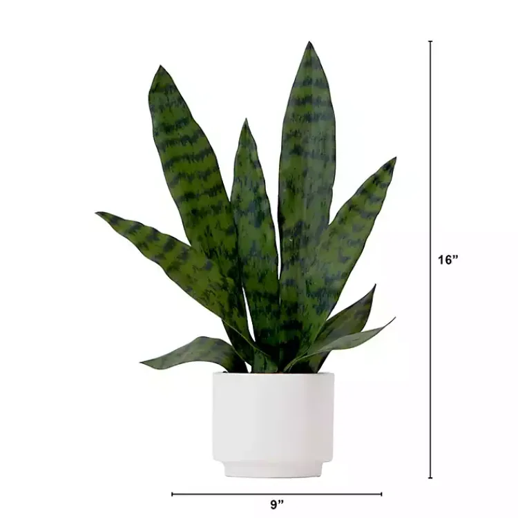 Outlet Snake Plant Arrangement in White Planter Arrangements & Greenery