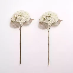 Snowy Cream Hydrangea Stems, Set of 2 Stems & Bouquets