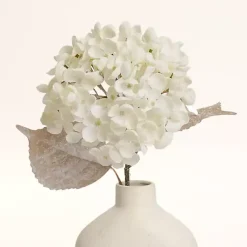 Snowy Cream Hydrangea Stems, Set of 2 Stems & Bouquets