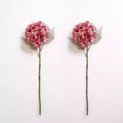 Sale Snowy Hydrangea Stems, Set of 2 Stems & Bouquets