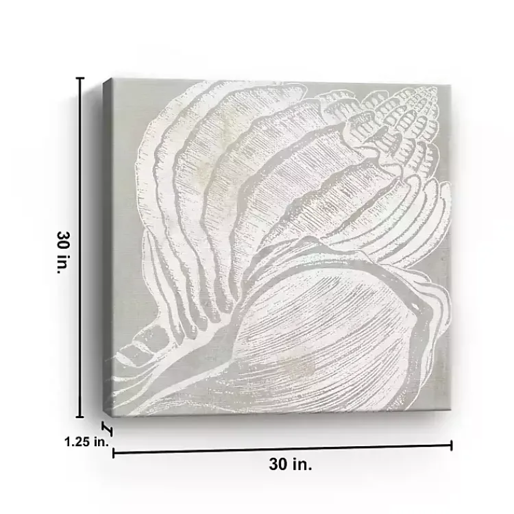 Kirklands Home Canvas Art|Spiral Seashell Close Up Canvas Art Print