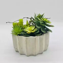 Online Succulent Arrangement in Zig-Zag Gray Planter Arrangements & Greenery