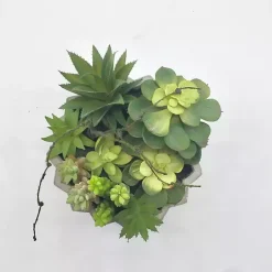 Online Succulent Arrangement in Zig-Zag Gray Planter Arrangements & Greenery