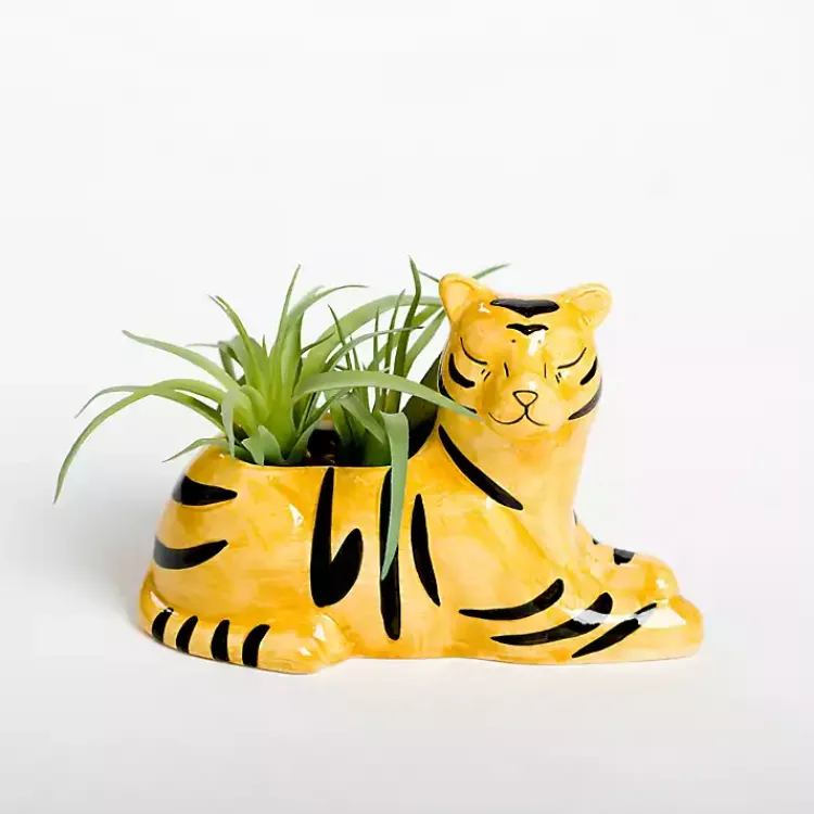New Succulent in Tiger Planter Arrangements & Greenery
