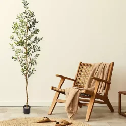 Hot Tall Potted Olive Branch Tree, 82 in. Trees & Topiaries