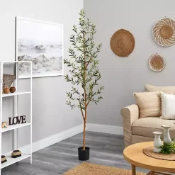 Hot Tall Potted Olive Branch Tree, 82 in. Trees & Topiaries