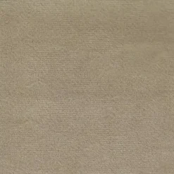 Kirklands Home Benches & Ottomans|Velvet Upholstered Modern Storage Bench Tan