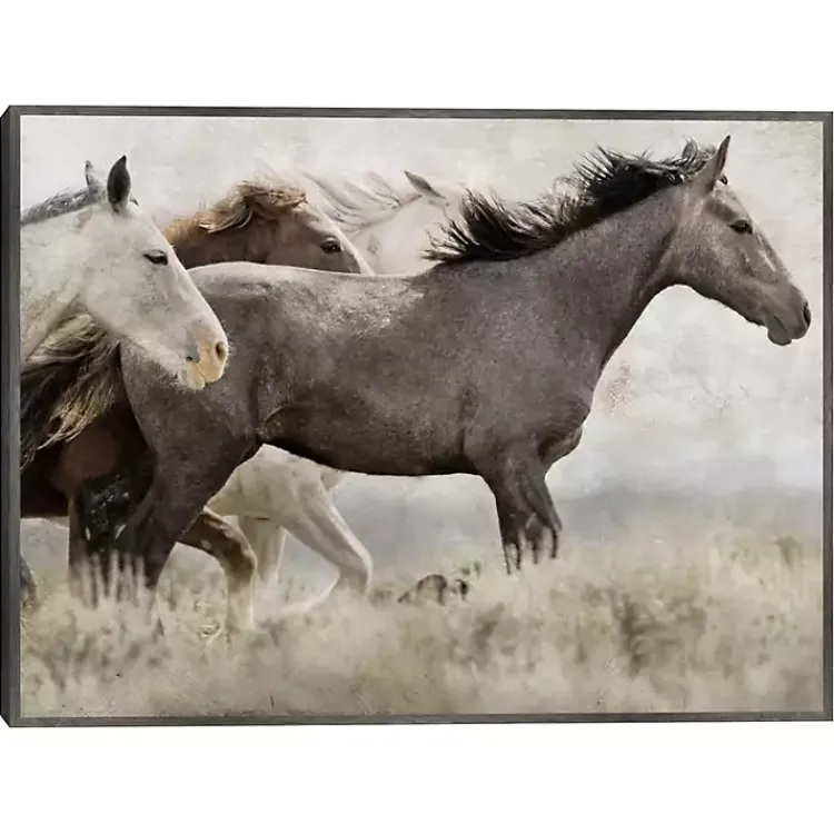 Kirklands Home Canvas Art|Thunder Ridge Distressed Framed Canvas Art Print Gray
