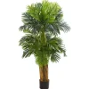 Sale Triple Areca Palm Tree, 5 ft. Trees & Topiaries