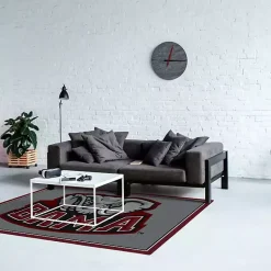 Kirklands Home Area Rugs|University of Alabama Area Rug, 4x6 Gray