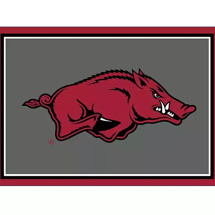 Kirklands Home Area Rugs|University of Arkansas Area Rug, 3x4
