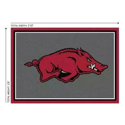 Kirklands Home Area Rugs|University of Arkansas Area Rug, 3x4