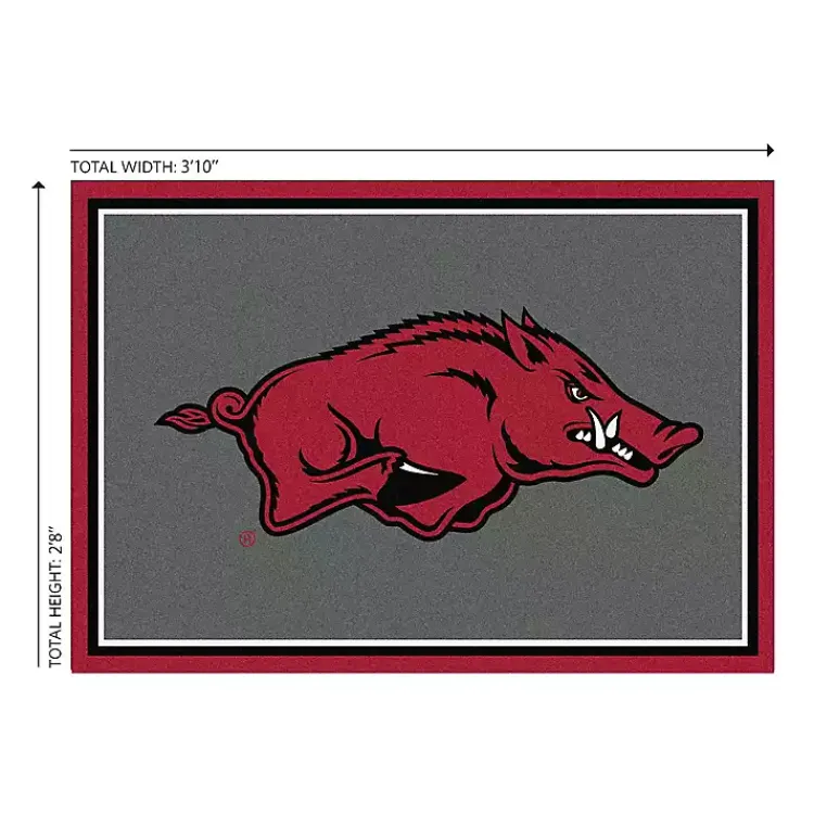 Kirklands Home Area Rugs|University of Arkansas Area Rug, 3x4