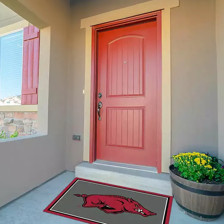 Kirklands Home Area Rugs|University of Arkansas Area Rug, 3x4