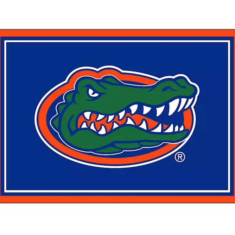 Kirklands Home Area Rugs|University of Florida Area Rug, 3x4