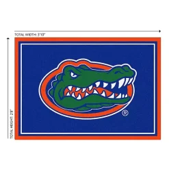 Kirklands Home Area Rugs|University of Florida Area Rug, 3x4