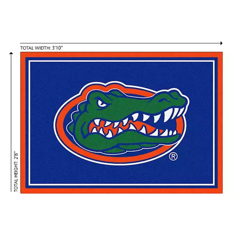 Kirklands Home Area Rugs|University of Florida Area Rug, 3x4