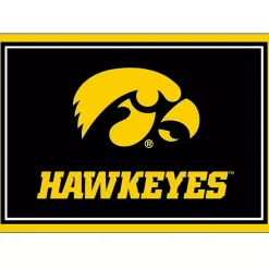 Kirklands Home Area Rugs|University of Iowa Area Rug, 3x4