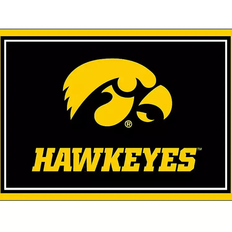 Kirklands Home Area Rugs|University of Iowa Area Rug, 3x4